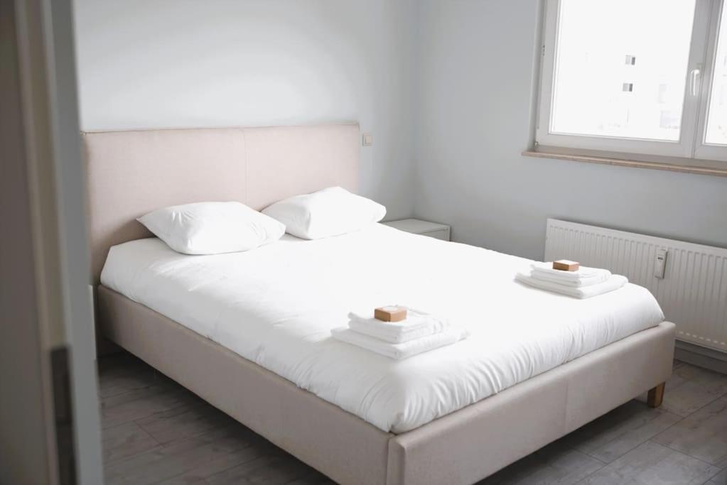 Charming Modern 2 Bedroom Apartment Alzingen Bagian luar foto