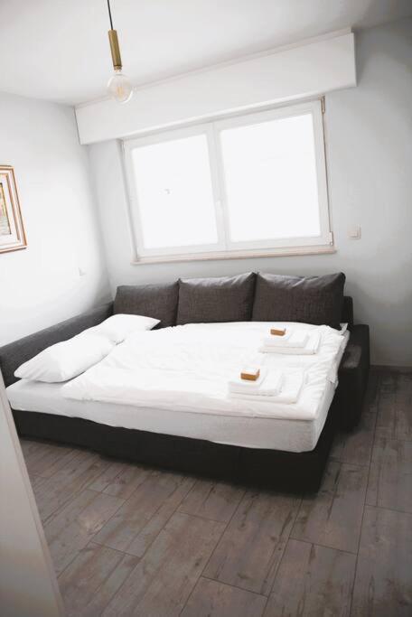 Charming Modern 2 Bedroom Apartment Alzingen Bagian luar foto